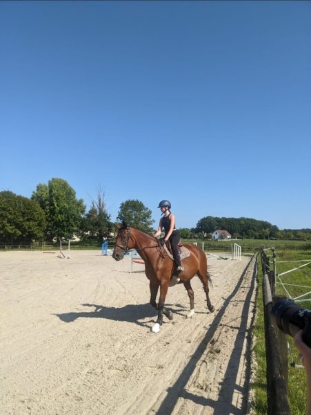 Écuries de Montier en Der - photo 3