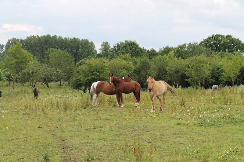 Centre Equestre Des Vallees - photo 1
