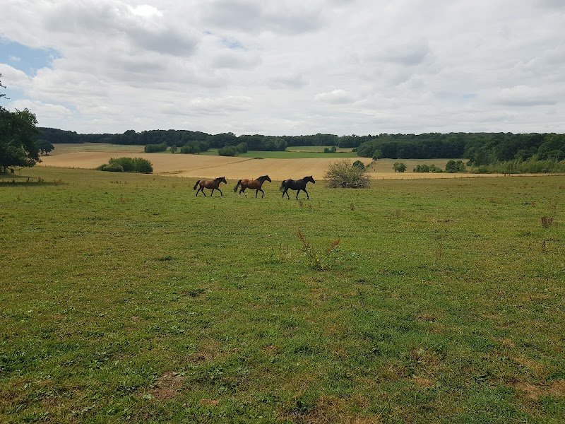 Écuries Des Chênes - photo 3