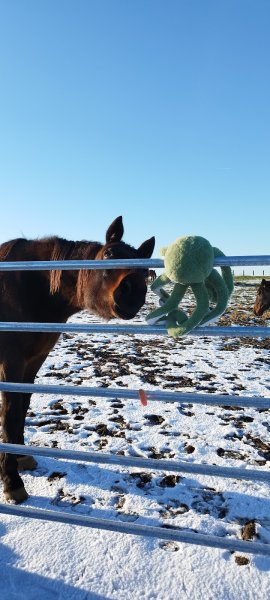 Pension des chênes - photo 1