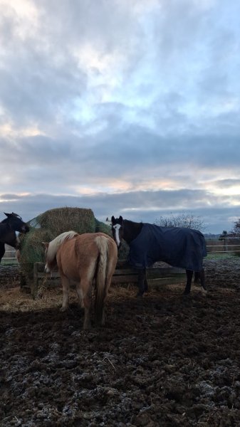 Pension des chênes - photo 2