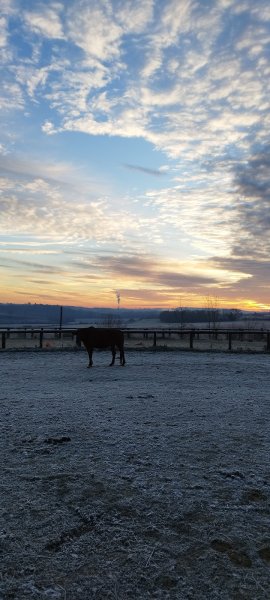 Pension des chênes - photo 3
