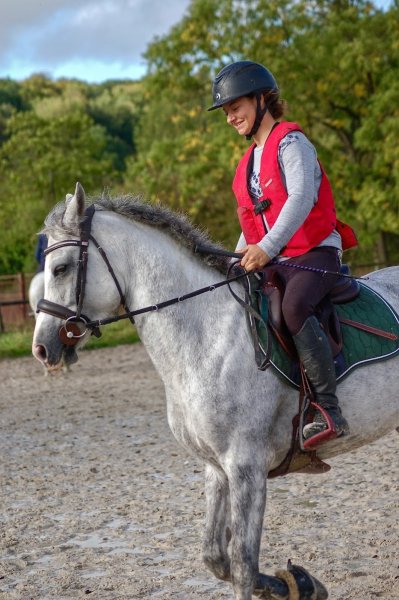 CENTRE EQUESTRE DE L ODYSSEE - photo 3