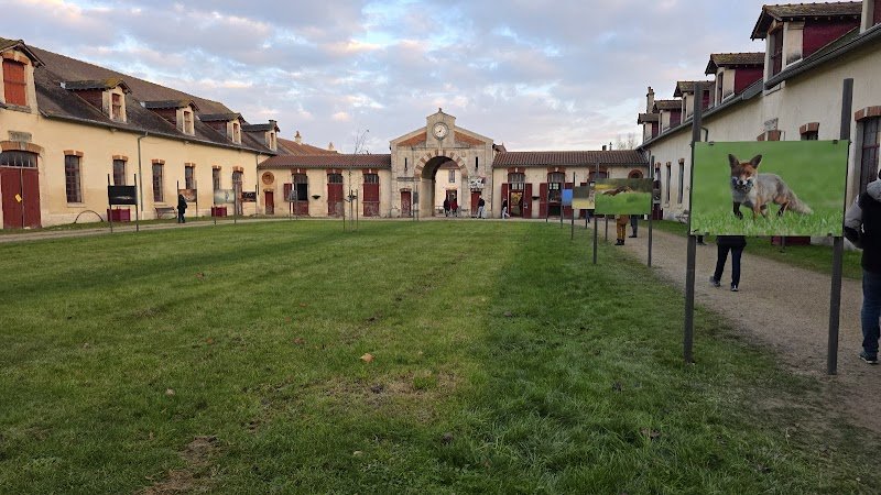 Haras national de Montier En Der - photo 2