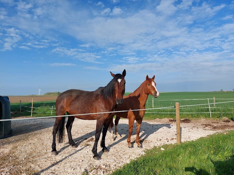 Les écuries des Champeaux - photo 2
