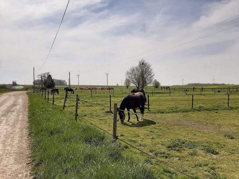 Les écuries des Champeaux - photo 3