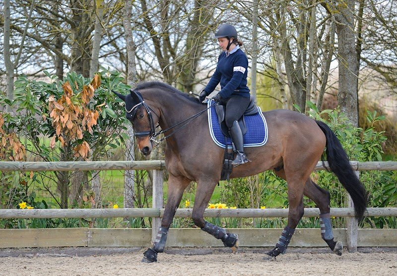 Les Ecuries de Nozay - photo 1