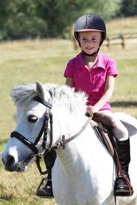 Ecuries de Jeand'Heurs - photo 1