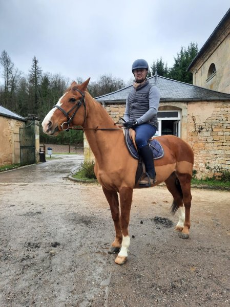 Ecuries de Jeand'Heurs - photo 3