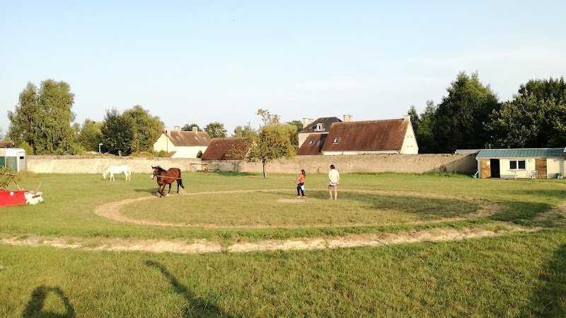 Paddocks de Vauville - photo 2