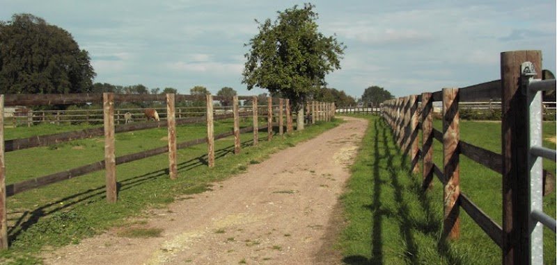 Paddocks de Vauville - photo 3