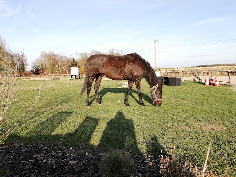 Champ à Cheval - photo 1