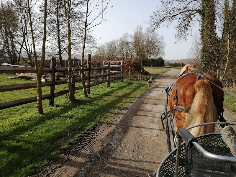 Champ à Cheval - photo 2