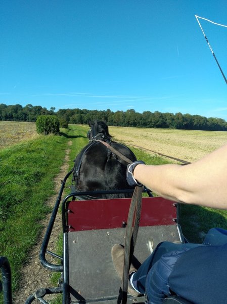 Les écuries du maupas - photo 2