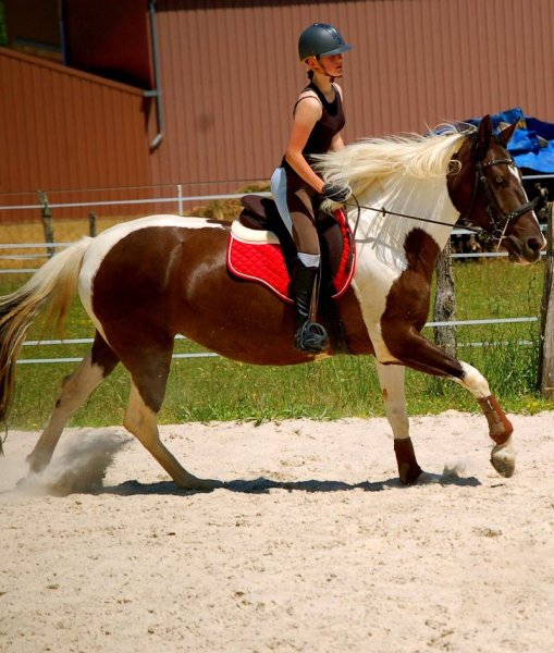 Les Écuries d'Olsine - photo 2