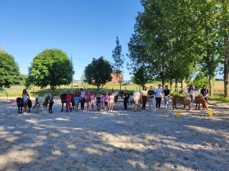 Les Écuries d'Olsine - photo 3