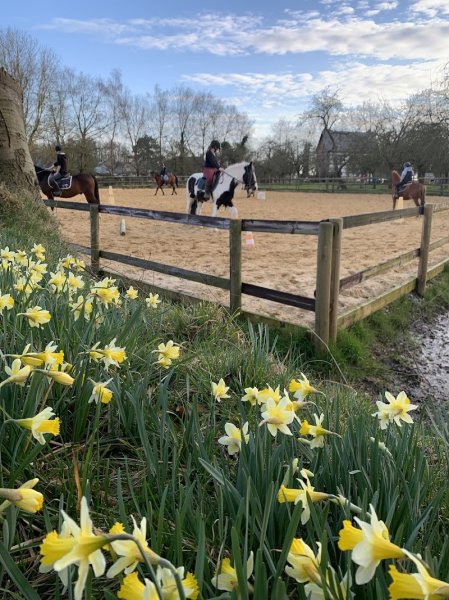 Ecurie le petit Torcy - photo 1