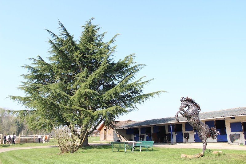 Haras Boréal - Écuries Laura Saine - photo 1