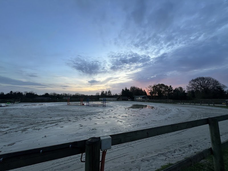 Haras Boréal - Écuries Laura Saine - photo 2