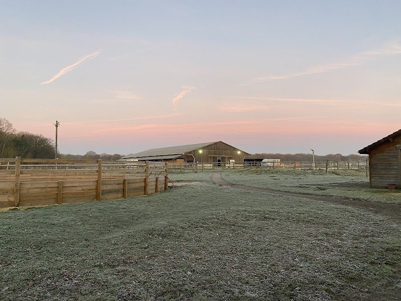 Haras Boréal - Écuries Laura Saine - photo 3