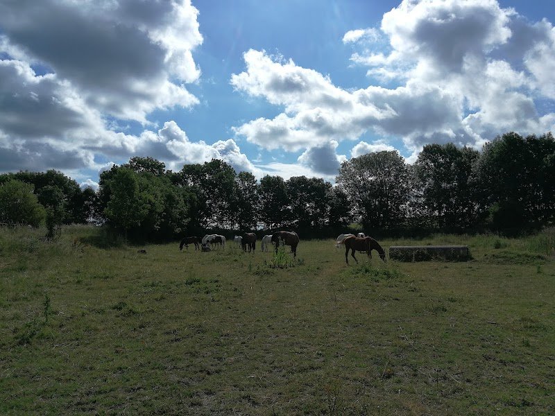 Écurie des Moulineaux - photo 2