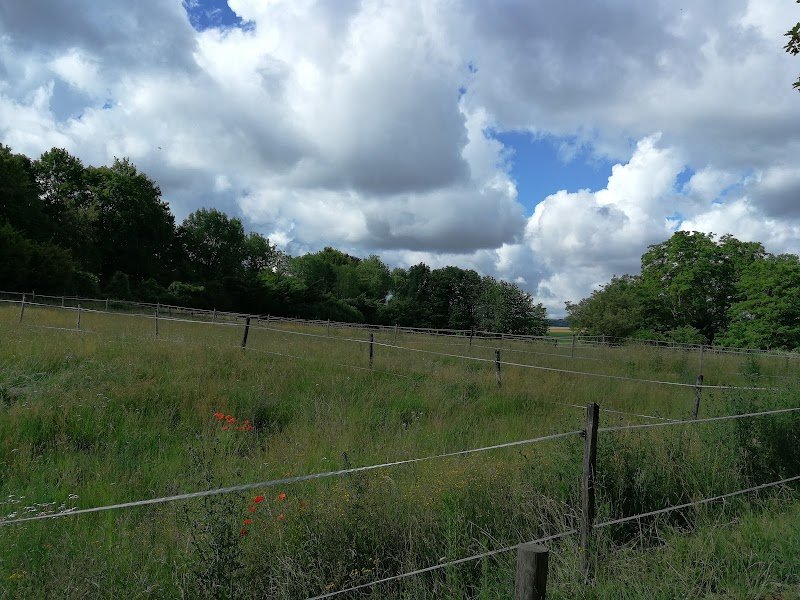 Écurie des Moulineaux - photo 3