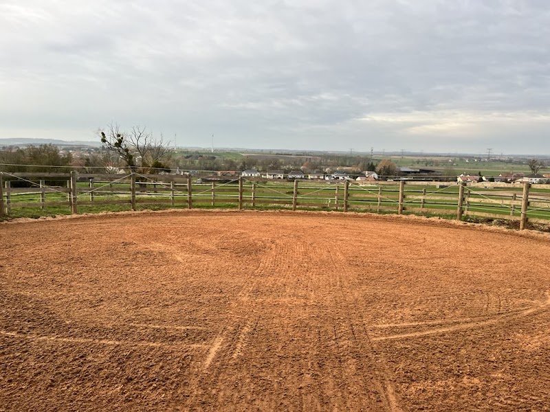 Elevage du bois / pension équestre - photo 2