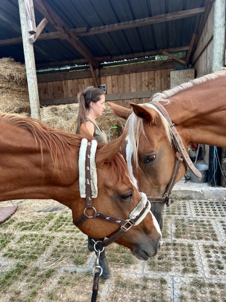 Ecuries du Bois de la Dame - photo 1