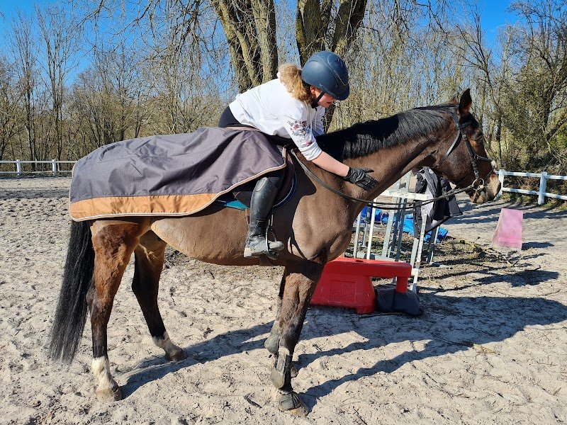 écuries l'ermitage - photo 1