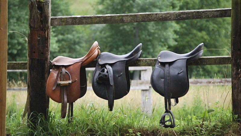 La Poudrière-Centre équestre - photo 1