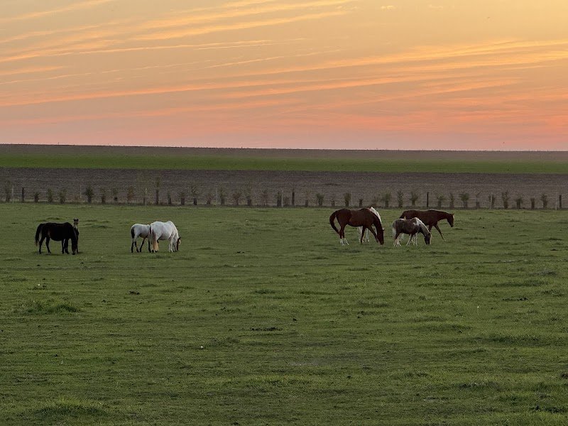 Centre équestre de la Muze - photo 2