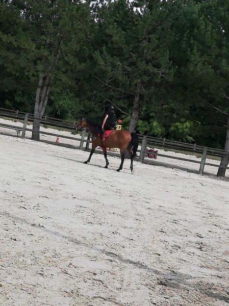 Les Écuries de Coolus - photo 2