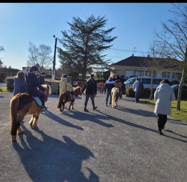 Écurie des minis poons - photo 1