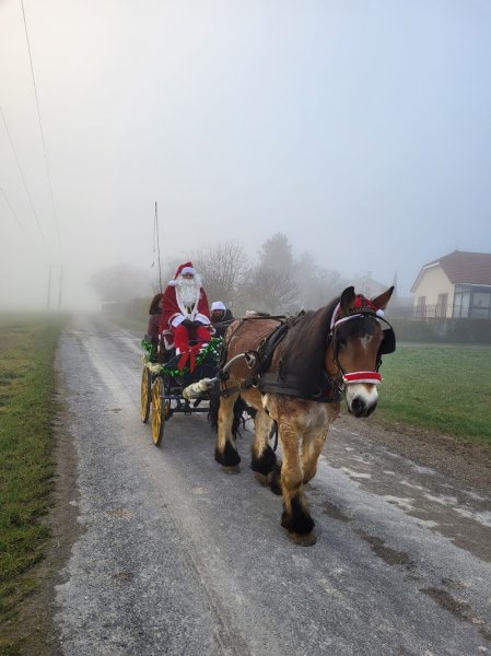 Écurie des minis poons - photo 3