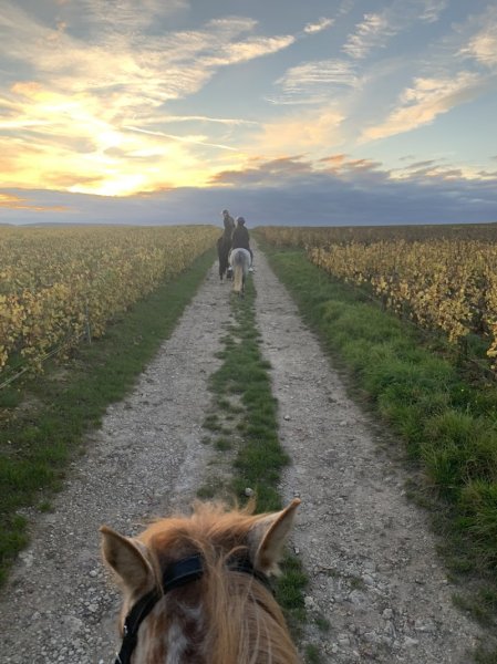 Pôle Equestre de Champagne - photo 1