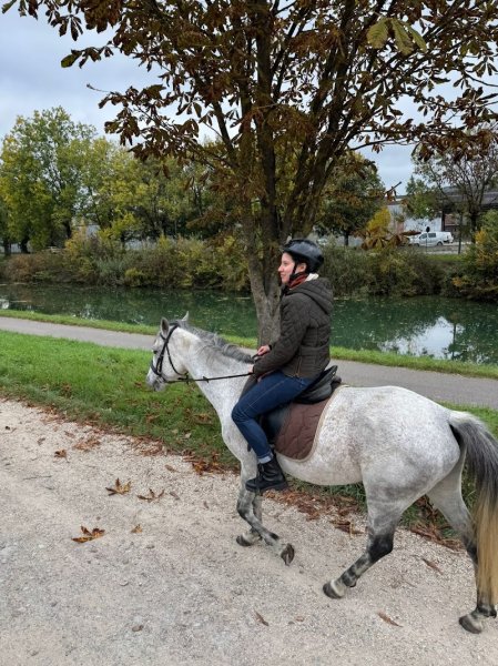 Pôle Equestre de Champagne - photo 2