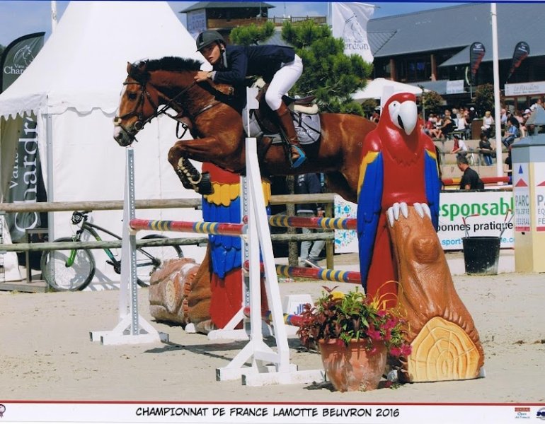 Pôle Equestre de Champagne - photo 3