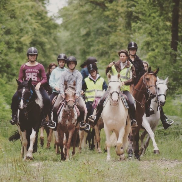 Les écuries de la Marne - photo 3