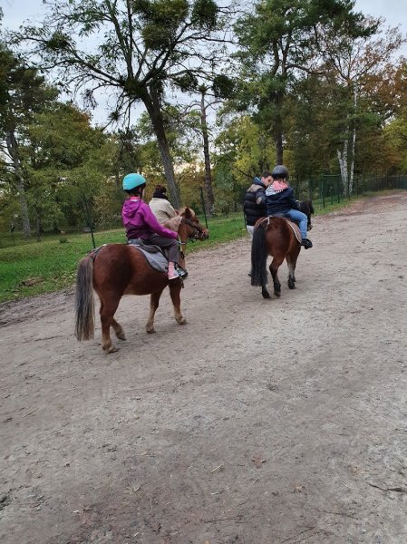 Les Ecuries de l'orée du Bois