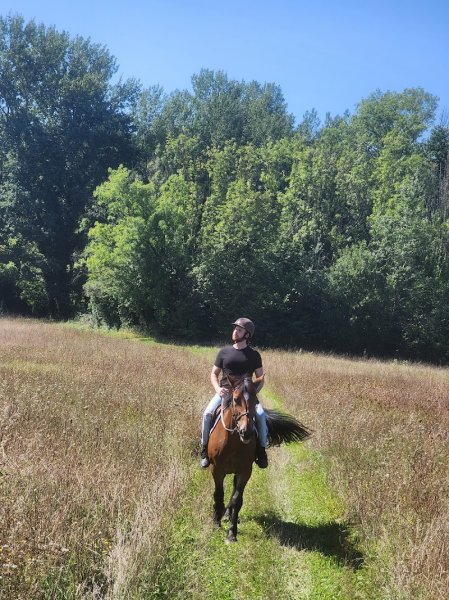 Les Ecuries de l'orée du Bois - photo 2