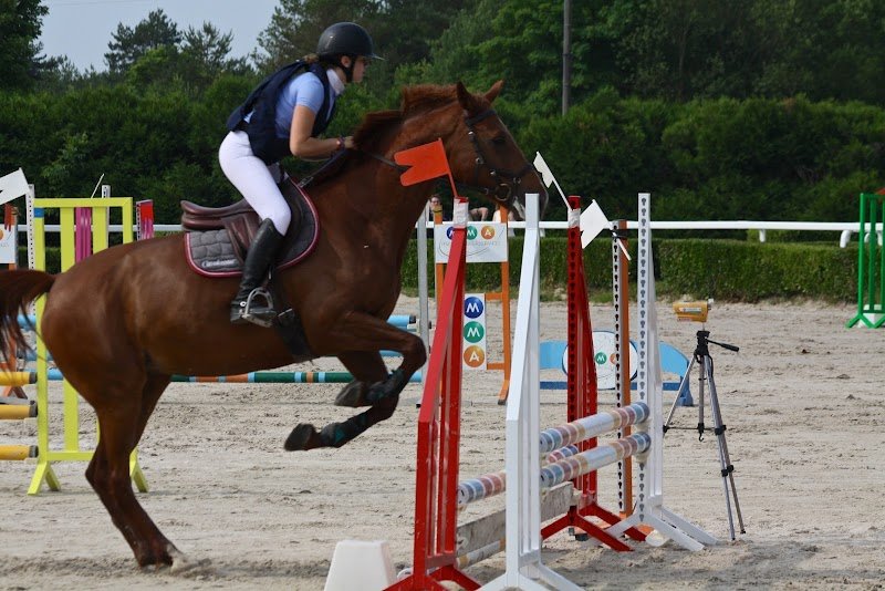 Centre Equestre de Mourmelon - photo 2