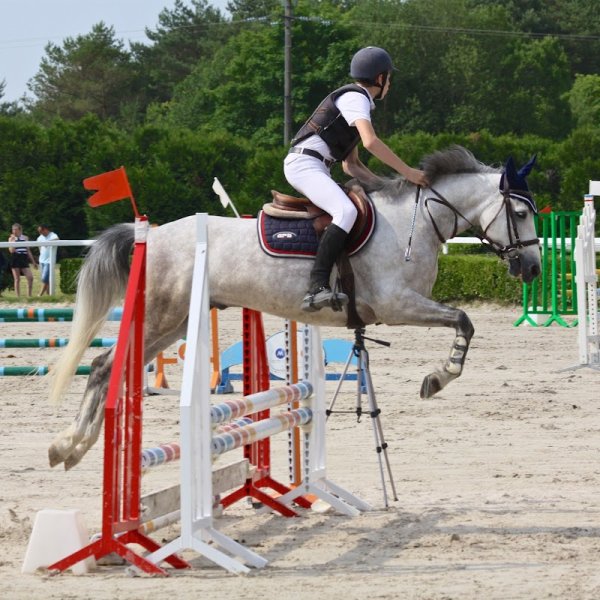 Centre Equestre de Mourmelon - photo 3