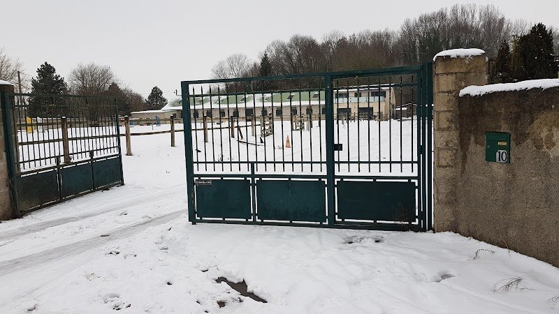 Poney Club de Warmeriville - photo 2