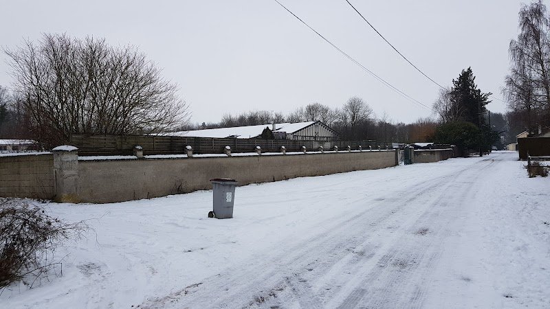 Poney Club de Warmeriville - photo 3