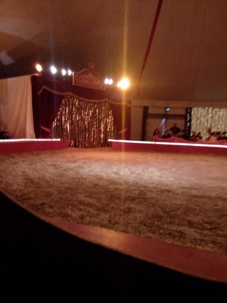 Cheval Art Action - photo 3