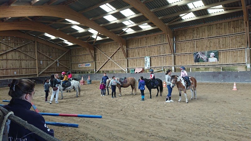 Haras Des Champs Denets Guy - photo 1