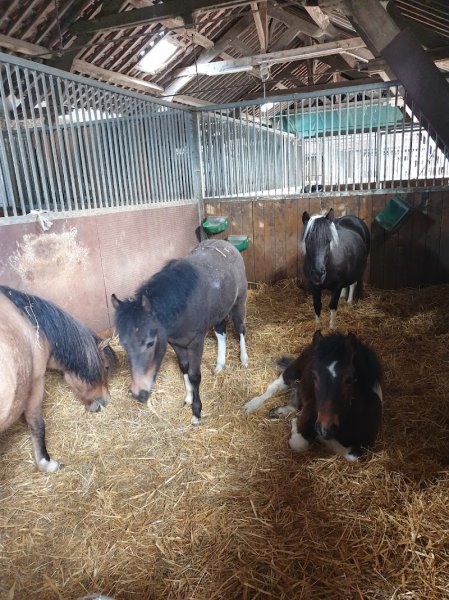 Centre équestre de Dhuisy - photo 3