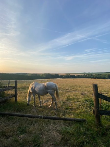 Haras de Pévy - photo 3