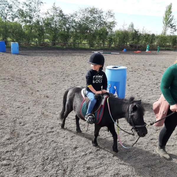 Les écuries de l’Orée du Bois - photo 2