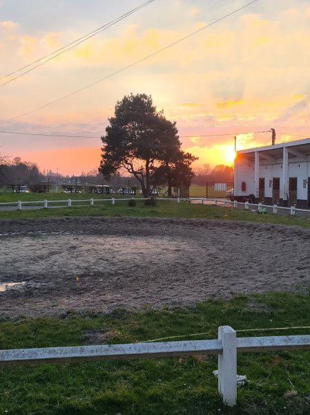 Les écuries de l’Orée du Bois - photo 3